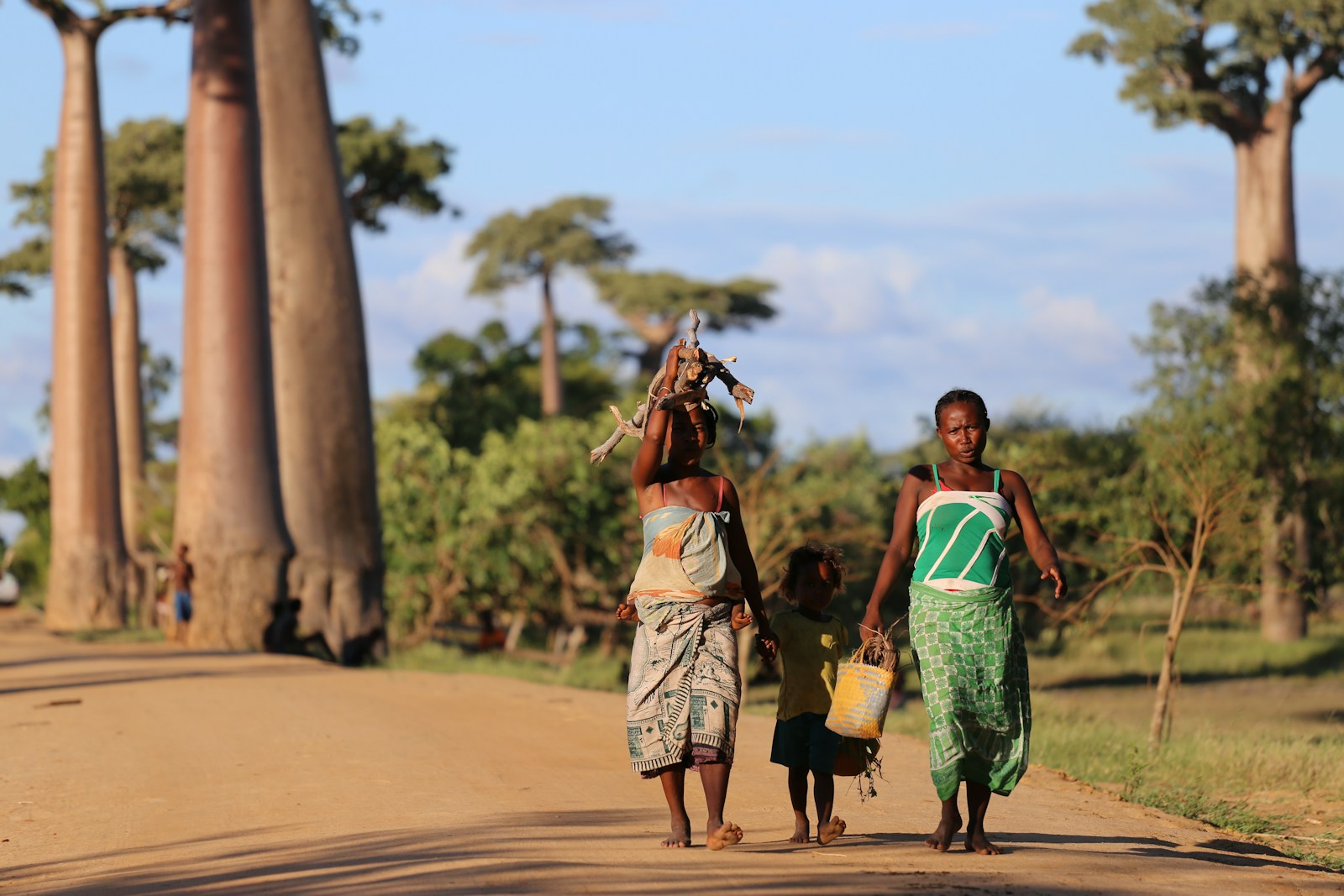 Allée des Baobabs, Madagascar – symbole de l'AFM