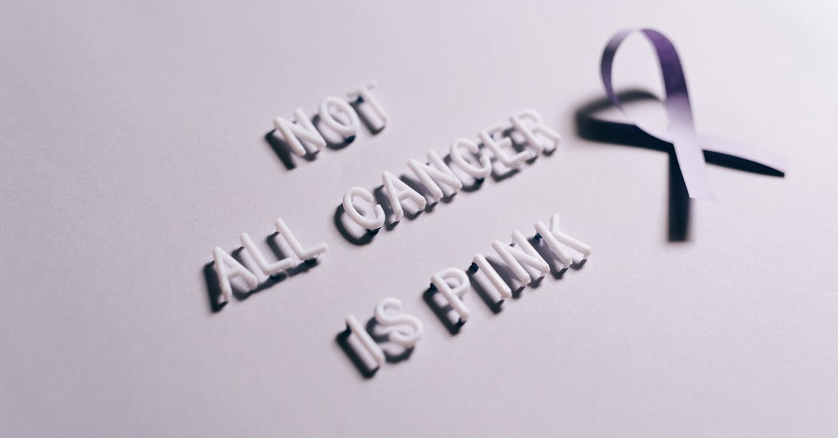 découvrez l'association franco-malgache, un pont culturel et social entre la france et madagascar. engagez-vous pour promouvoir les échanges, la solidarité et la richesse des échanges entre ces deux nations.